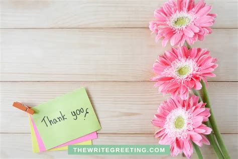 150+ Best Thank You Message for Appreciation - The Write Greeting