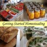 Getting Started Homesteading | Homesteading For Beginners