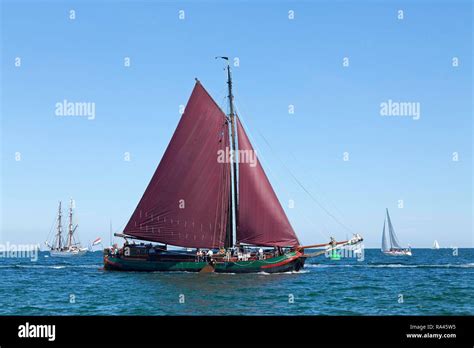 Sailing Boat Hanse Sail Rostock Mecklenburg Western Pomerania