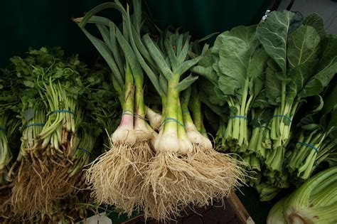 Senate Bill Offers a Pathway to Sustain Local Food Purchasing Program - National Sustainable