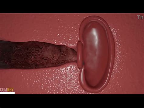 Busty Slut In Knot Trouble Vote Winners Huge Knot Dick 3d Porn XVIDEOS