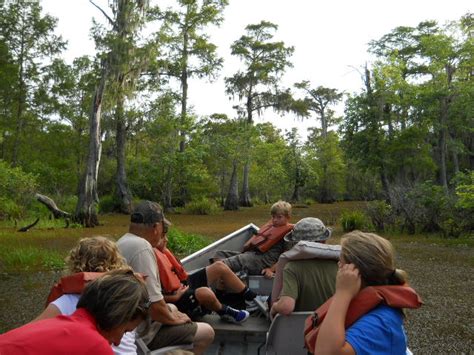 Louisiana Swamp Tours: Lafayette Louisiana Swamp Tours and Festival ...