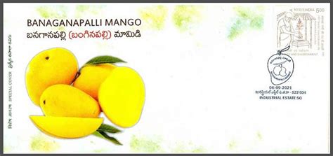 India 2021 Banaganapalli Mango Fruit Food Gastronomy Special Cover