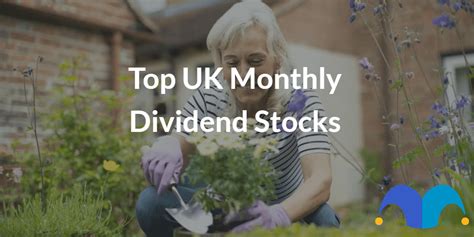 Top UK Monthly Dividend Stocks Of 2024 The Motley Fool UK