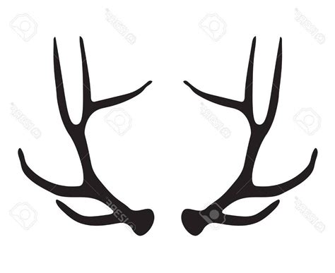 Deer Antlers Drawing At Explore Collection Of Deer