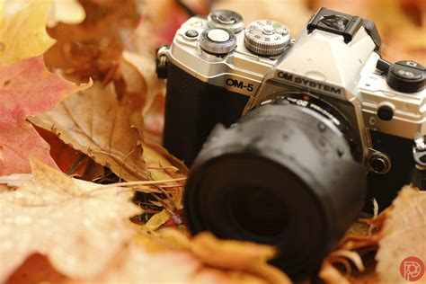 OM System OM-5 Review