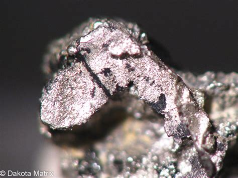 Tetraferroplatinum Mineral Specimen For Sale