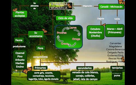 Cuaderno De Biolog A De Nora Illescas Flores Del Grupo Mapa