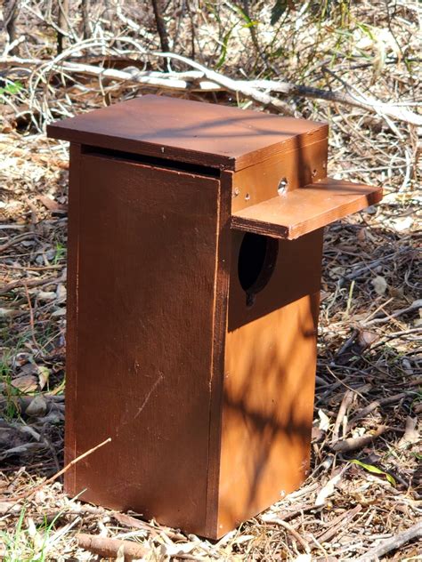 nesting boxes workshop bassendean preservation group