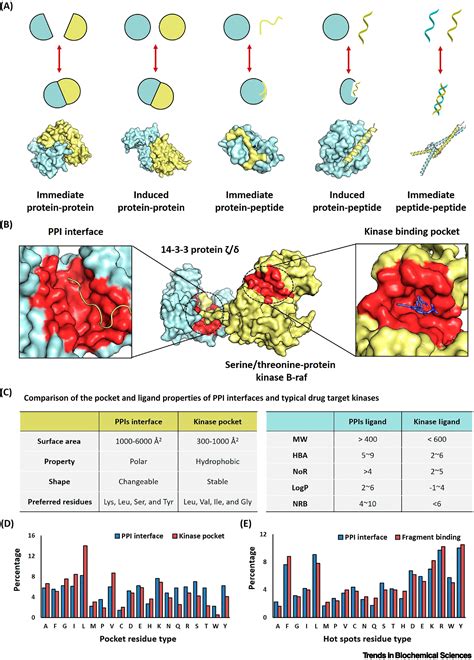 Fragment Based Drug Discovery Supports Drugging Undruggable Protein