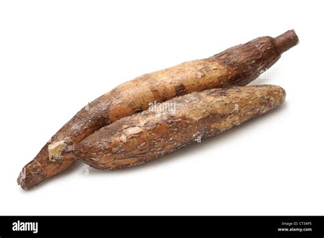 Manioc Root Stockfotos & Manioc Root Bilder - Alamy