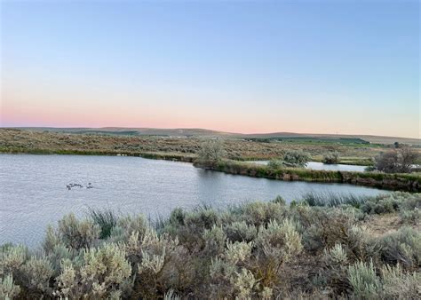 caliche lake camping  dyrt