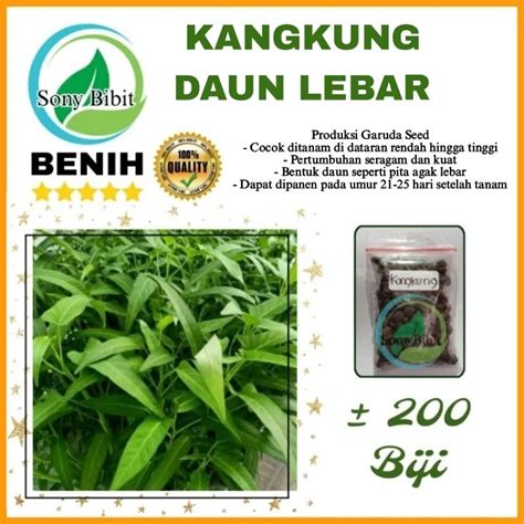 Jual Biji Benih Kangkung Daun Lebar Unggul Rajawali Benih Ekonomis