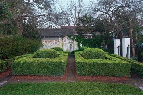 Best Boxwoods For Every Landscape And Climate