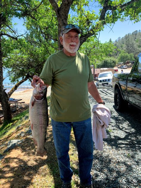 Collins Lake Lots Of Limits Trophy Trout As Planting Continues