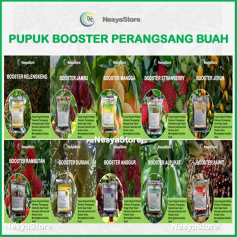 Jual Pupuk Booster Perangsang Buah Kelengkeng Jeruk Jambu Sawit