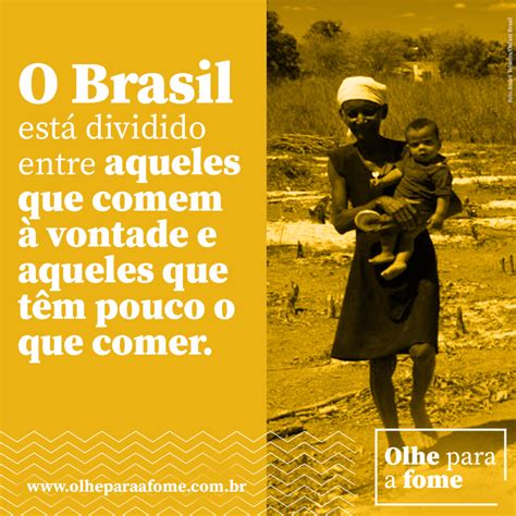 Fome No Brasil Redação Nota 1000 - ZULEDU