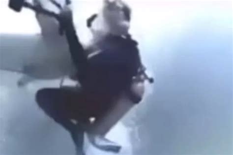 Maldives shark attack horror sees rampaging predator attack divers in