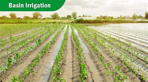 irrigation system  types  methods  irrigation
