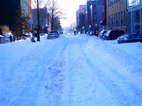Walking Brooklyn: Scenes from a blizzard