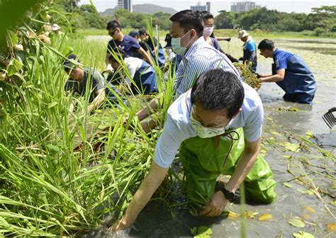 響應世界地球日 高市青年局志工團淨池愛地球 中華日報中華新聞雲