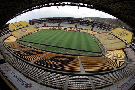 Día del Cóndor: Sólo 150 ejemplares quedan en Ecuador, según censo de 2018