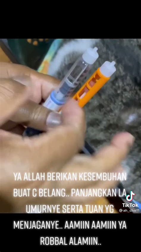 Tiktok Berguna On Twitter Tahukah Anda Kucing Pun Boleh Dapat