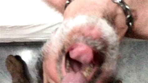 Swallowing Huge Construction Worker 039 S Cumload Gay Amateur Porn Feat Nypster XHamster