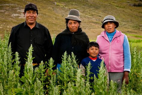 Responsabilidad compartida erradicando el hambre en América Latina y el Caribe IPS Agencia de