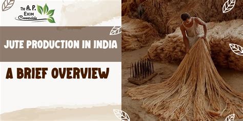 Jute Production In India A Brief Overview