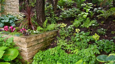 shade garden ideas  tips  success tayloes lawn care services llc
