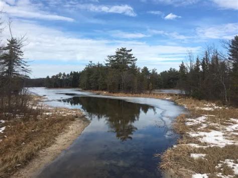 10 Best Hikes and Trails in Ludington State Park | AllTrails