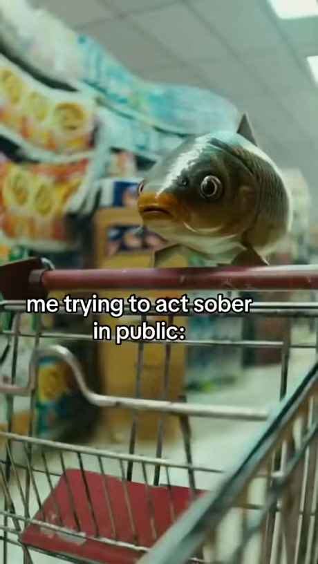 category funny youmeme