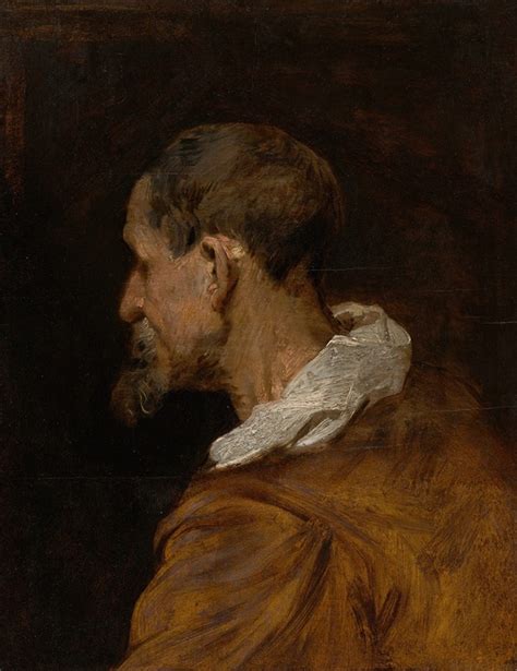 Study Head By Anthony Van Dyck Artvee