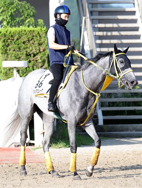 【小倉記念】前日オッズは連覇を狙うマリアエレーナが単勝3・4倍で1番人気 2番人気には51キロ軽ハンデのゴールドエクリプス 牝馬3頭が上位人気