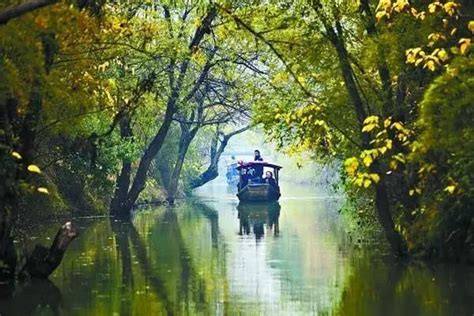 杭州西溪湿地不一样的风景园林景观中国古风图片素材大全古风家