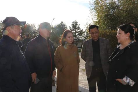 УИХ-ЫН ДАРГА Г.ЗАНДАНШАТАРААР АХЛУУЛСАН АЖЛЫН ХЭСЭГ СЭЛЭНГЭ АЙМАГТ ...