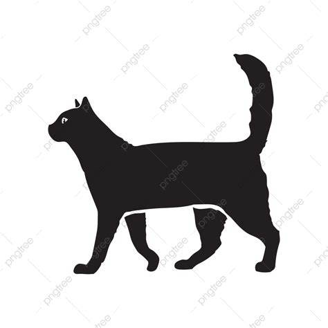 gambar siluet kucing berjalan kucing berjalan bayangan hitam png