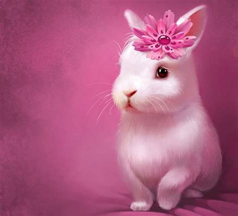 Cute White Rabbits Wallpapers