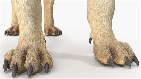 Dogs Collection 3 3d Model 199 Max Free3d