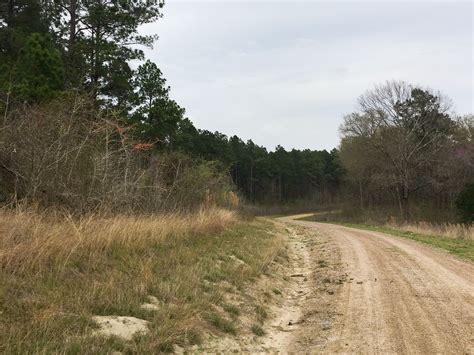 Point Blank San Jacinto County Tx Recreational Property Undeveloped