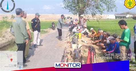 Kementan Turun Kendalikan Serangan Hama Penggerak Batang Padi Di Klaten