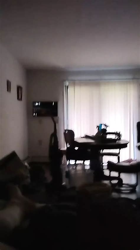 July Cumshot Compilation Video American Gay Amateur Porn Xhamster