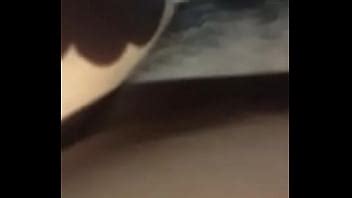 Breed Search XVIDEOS