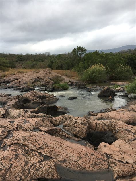 What happened to the truth? - Natural Success