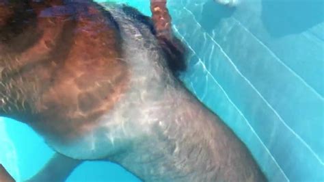 Vidéos porno piscine Gay gratuites 2025 xHamster