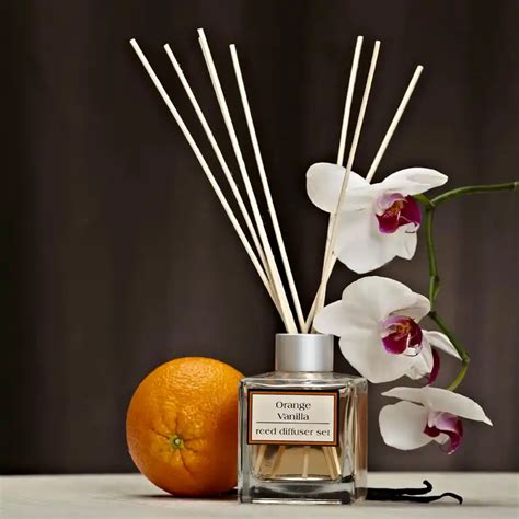 What Is A Reed Diffuser: The Ultimate Guide 2023