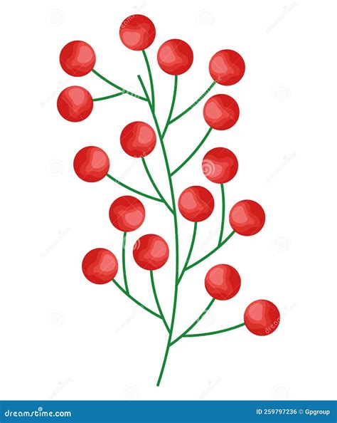 Mistletoe Branch with Berries Stock Vector - Illustration of nature