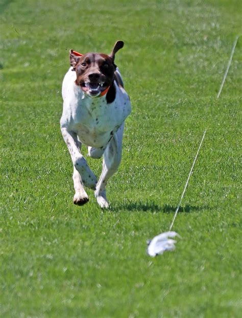 how do you cat dirty fast 11