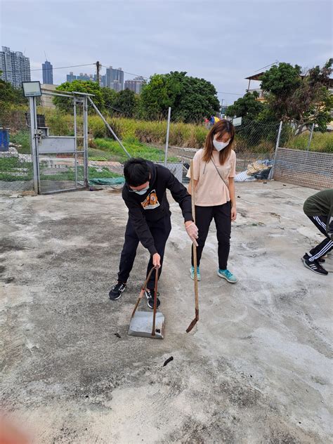 community service animal shelter 14